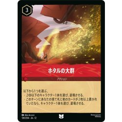 画像1: ホタルの大群[DL_12_130/204_U]