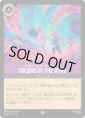 COLORS OF THE WIND(カラー・オブ・ザ・ウィンド)[DL_11_64/204_SR]