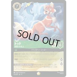 画像1: ★Foil★トッド 魚取りの名人[DL_11_92/204_L]