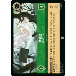 画像1: ★Foil★禁猟区 護られた土地[DL_11_102/204_C]