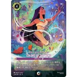 画像1: COLORS OF THE WIND(カラー・オブ・ザ・ウィンド)[DL_11_228/204_Enchanted]