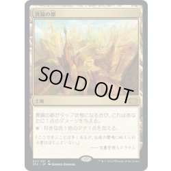 画像1: 【JPN】真鍮の都/City of Brass[MTG_2X2_321R]