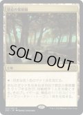 【JPN】禁忌の果樹園/Forbidden Orchard[MTG_2X2_323R]