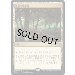 画像1: 【JPN】禁忌の果樹園/Forbidden Orchard[MTG_2X2_323R]