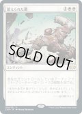 【JPN】鍛えられた鋼/Tempered Steel[MTG_2XM_034R]