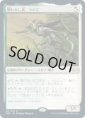 【JPN】贖われし者、ライズ/Rhys the Redeemed[MTG_2XM_213R]