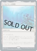 【JPN】アカデミーの廃墟/Academy Ruins[MTG_2XM_309R]