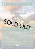 【JPN】輪作/Crop Rotation[MTG_2XM_349R]