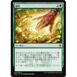 画像1: 【JPN】耕作/Cultivate[MTG_A25_165C]