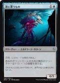 【JPN】波に漂うもの/Tide Drifter[MTG_BFZ_067U]