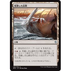画像1: 【JPN】荒廃した山峡/Blighted Gorge[MTG_BFZ_231U]