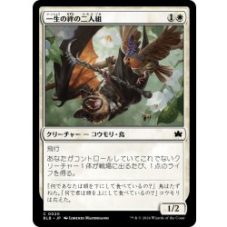 画像1: 【JPN】一生の絆の二人組/Lifecreed Duo [MTG_BLB_0020_C]