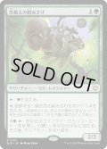 【JPN】茨越えの餌あさり/Thornvault Forager [MTG_BLB_0197_R]
