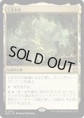 【JPN】三本木市/Three Tree City [MTG_BLB_0260_R]
