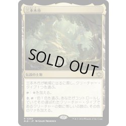 画像1: 【JPN】三本木市/Three Tree City [MTG_BLB_0260_R]