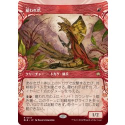 画像1: 【JPN】■ショーケース■雇われ爪/Hired Claw [MTG_BLB_0317_R]