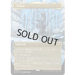 画像1: 【JPN】■ボーダーレス■三本木市/Three Tree City[MTG_BLB_0340_R]