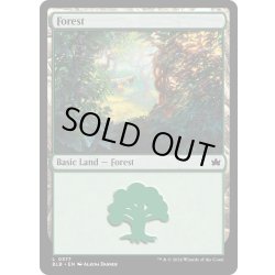 画像1: 【ENG】森/Forest[MTG_BLB_0377_L]