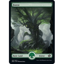 画像1: 【ENG】森/Forest[MTG_BRO_287L]