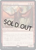 【JPN】怒れるレッド・ドラゴン/Wrathful Red Dragon[MTG_CLB_207R]