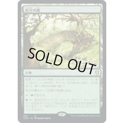 画像1: 【JPN】苔汁の橋/Mosswort Bridge[MTG_CLB_902R]