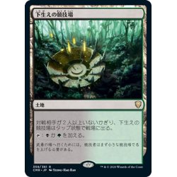 画像1: 【JPN】★Foil★下生えの競技場/Undergrowth Stadium[MTG_CMR_359R]