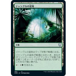 画像1: 【JPN】ジャングルの盆地/Jungle Basin[MTG_CMR_484U]