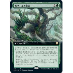 画像1: 【JPN】カマールの意志/Kamahl's Will[MTG_CMR_680R]