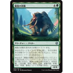 画像1: 【JPN】捕食の欲動/Animus of Predation[MTG_CN2_060U]
