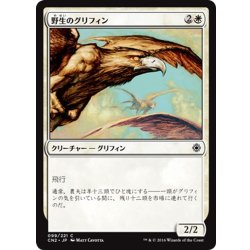 画像1: 【JPN】野生のグリフィン/Wild Griffin[MTG_CN2_099C]