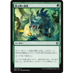 画像1: 【JPN】抑え難い餌食/Irresistible Prey[MTG_CN2_183U]