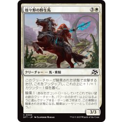 画像1: 【JPN】煌々野の野生馬/Brightfield Mustang [MTG_DFT_0005_C]