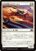 【JPN】栄光荒野のオオヤマネコ/Gloryheath Lynx [MTG_DFT_0014_U]