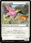 【JPN】睡蓮守りの信奉者/Lotusguard Disciple [MTG_DFT_0021_C]