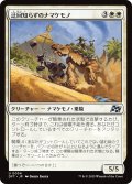 【JPN】迂回知らずのナマケモノ/Unswerving Sloth [MTG_DFT_0034_U]