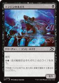 【JPN】エンジンのネズミ/Engine Rat [MTG_DFT_0084_C]