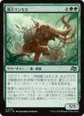 【JPN】僭王マンモス/Autarch Mammoth [MTG_DFT_0153_U]