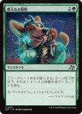 【JPN】偉大なる賜物/Bestow Greatness [MTG_DFT_0155_C]