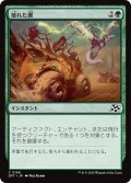 【JPN】壊れた翼/Broken Wings [MTG_DFT_0156_C]
