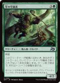 【JPN】牙の守護者/Fang Guardian [MTG_DFT_0162_U]