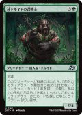 【JPN】牙ドルイドの召喚士/Fang-Druid Summoner [MTG_DFT_0163_U]