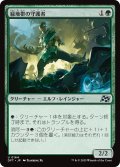 【JPN】緑地帯の守護者/Greenbelt Guardian [MTG_DFT_0164_U]