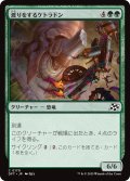 【JPN】渡りをするケトラドン/Migrating Ketradon [MTG_DFT_0170_C]