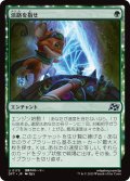 【JPN】活路を指せ/Point the Way [MTG_DFT_0175_U]