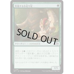 画像1: 【JPN】突進する小走り足/Stampeding Scurryfoot [MTG_DFT_0181_C]