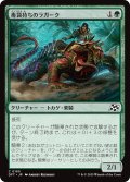 【JPN】毒袋持ちのラガーク/Venomsac Lagac [MTG_DFT_0185_C]