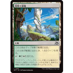 画像1: 【JPN】花咲く砂地/Blossoming Sands [MTG_DFT_0252_C]
