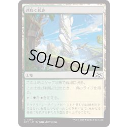 画像1: 【JPN】花咲く砂地/Blossoming Sands [MTG_DFT_0252_C]