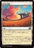 【JPN】田舎の道路/Country Roads [MTG_DFT_0253_U]