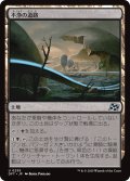 【JPN】不浄の道路/Foul Roads [MTG_DFT_0255_U]